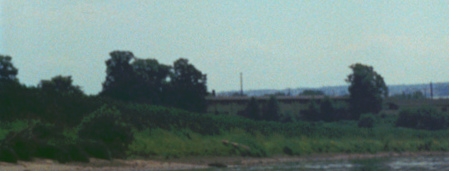 Blick auf das Elbufer Höhe Übigau/Hafen. Es ist viel Grün, die auslaufende Erhebung der Messeinsel und im Hintergrund ein Hafengebäude zu sehen. (c) TU DD/Deutsche Fotothek